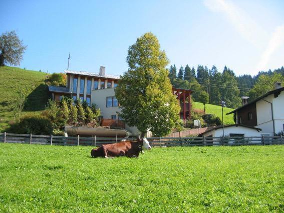 Studio 21A Hopfgarten im Brixental Luaran gambar